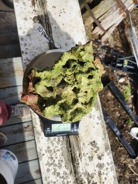 Fiji Dry Base Rock for Saltwater Aquarium Setup Natural Reef Rock Aquascaping